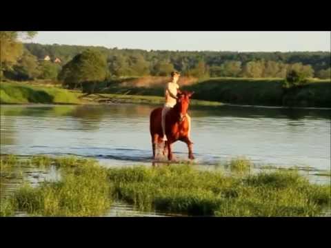 Красный конь Валентин Дьяконов