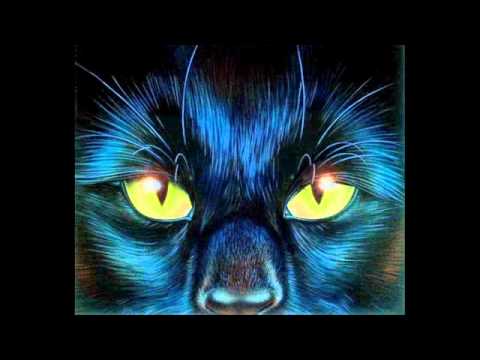 Булат Окуджава Песенка про черного кота